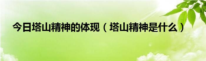 今日塔山精神的体现（塔山精神是什么）