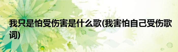 我只是怕受伤害是什么歌(我害怕自己受伤歌词)