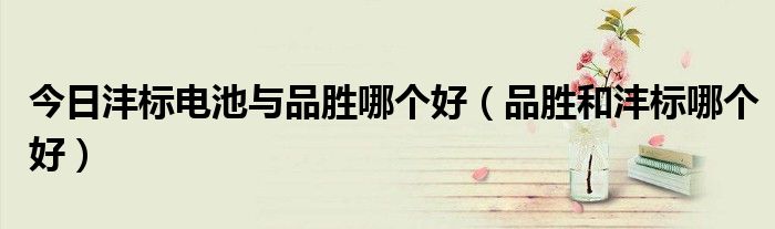 今日沣标电池与品胜哪个好（品胜和沣标哪个好）