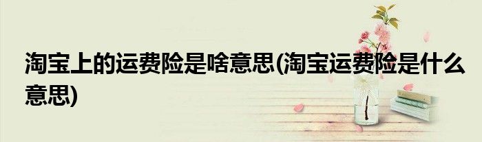 淘宝上的运费险是啥意思(淘宝运费险是什么意思)