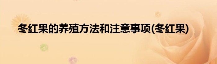 冬红果的养殖方法和注意事项(冬红果)
