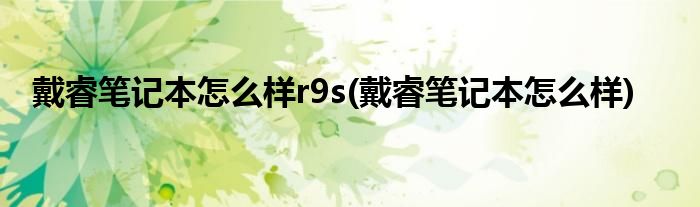 戴睿笔记本怎么样r9s(戴睿笔记本怎么样)