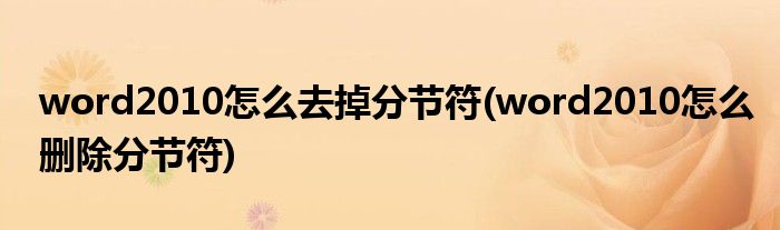 word2010怎么去掉分节符(word2010怎么删除分节符)