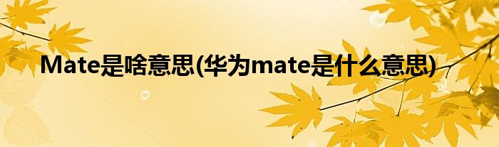 Mate是啥意思(华为mate是什么意思)