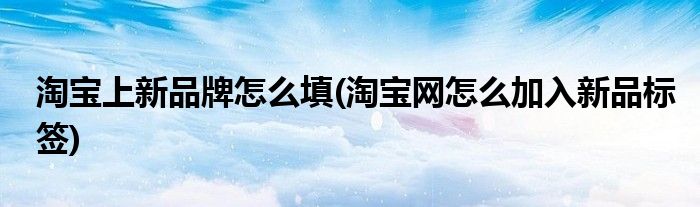 淘宝上新品牌怎么填(淘宝网怎么加入新品标签)