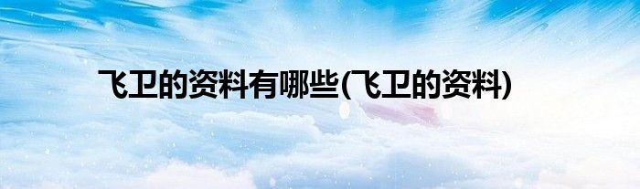飞卫的资料有哪些(飞卫的资料)