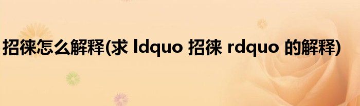 招徕怎么解释(求 ldquo 招徕 rdquo 的解释)