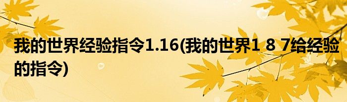 我的世界经验指令1.16(我的世界1 8 7给经验的指令)