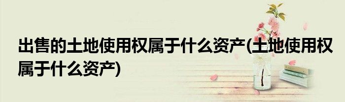 出售的土地使用权属于什么资产(土地使用权属于什么资产)