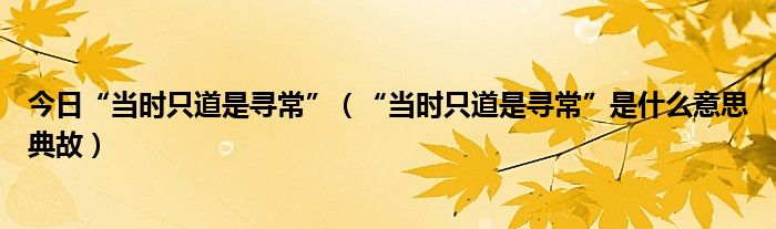 今日“当时只道是寻常”（“当时只道是寻常”是什么意思典故）