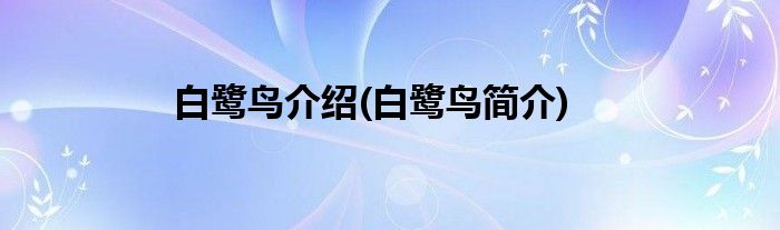 白鹭鸟介绍(白鹭鸟简介)