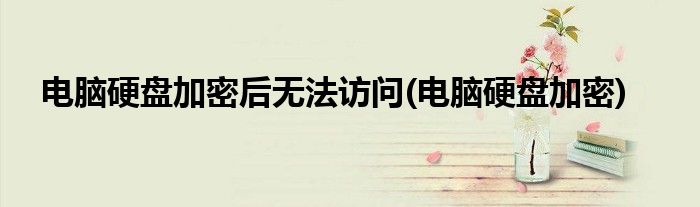 电脑硬盘加密后无法访问(电脑硬盘加密)