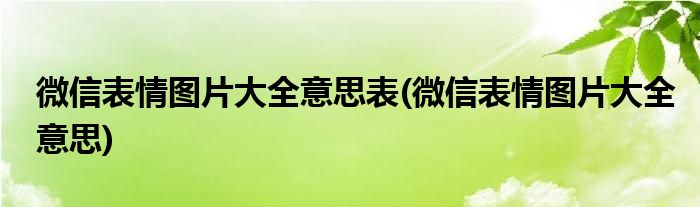 微信表情图片大全意思表(微信表情图片大全意思)