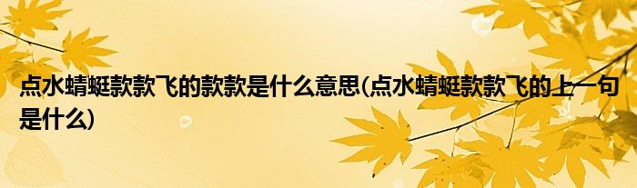 点水蜻蜓款款飞的款款是什么意思(点水蜻蜓款款飞的上一句是什么)