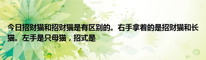 今日招财猫和招财猫是有区别的。右手拿着的是招财猫和长猫。左手是只母猫，招式是