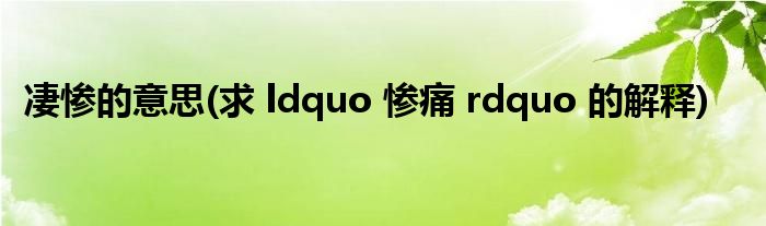凄惨的意思(求 ldquo 惨痛 rdquo 的解释)