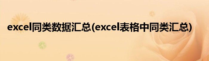 excel同类数据汇总(excel表格中同类汇总)