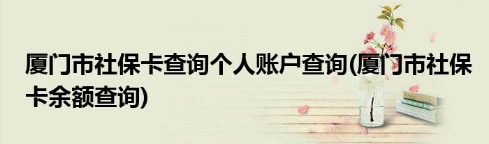 厦门市社保卡查询个人账户查询(厦门市社保卡余额查询)