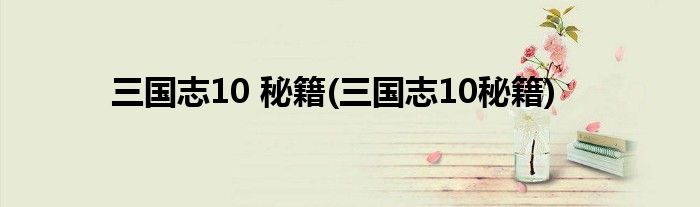 三国志10 秘籍(三国志10秘籍)