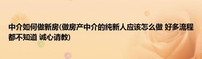 中介如何做新房(做房产中介的纯新人应该怎么做 好多流程都不知道 诚心请教)