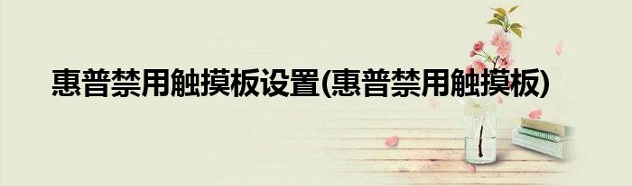 惠普禁用触摸板设置(惠普禁用触摸板)