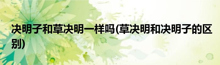 决明子和草决明一样吗(草决明和决明子的区别)