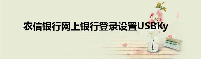 农信银行网上银行登录设置USBKy