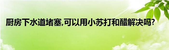 厨房下水道堵塞,可以用小苏打和醋解决吗?