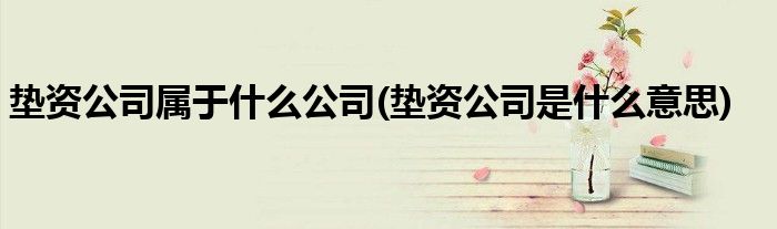 垫资公司属于什么公司(垫资公司是什么意思)