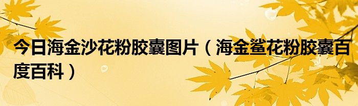 今日海金沙花粉胶囊图片（海金鲨花粉胶囊百度百科）