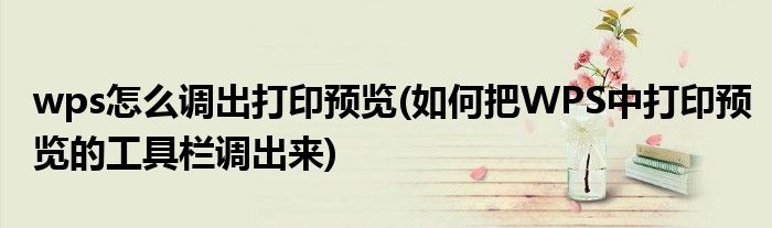 wps怎么调出打印预览(如何把WPS中打印预览的工具栏调出来)