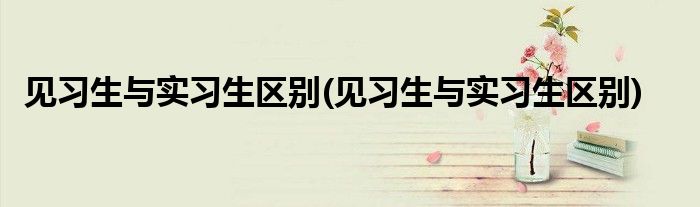见习生与实习生区别(见习生与实习生区别)