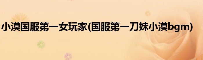 小漠国服第一女玩家(国服第一刀妹小漠bgm)