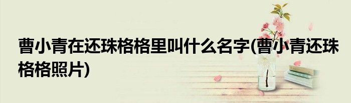 曹小青在还珠格格里叫什么名字(曹小青还珠格格照片)
