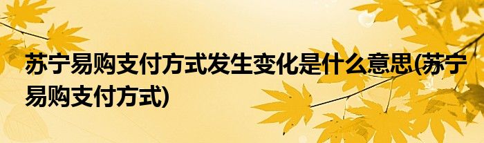 苏宁易购支付方式发生变化是什么意思(苏宁易购支付方式)