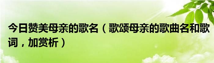 今日赞美母亲的歌名（歌颂母亲的歌曲名和歌词，加赏析）