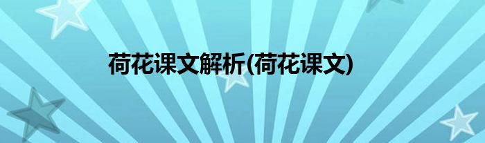 荷花课文解析(荷花课文)