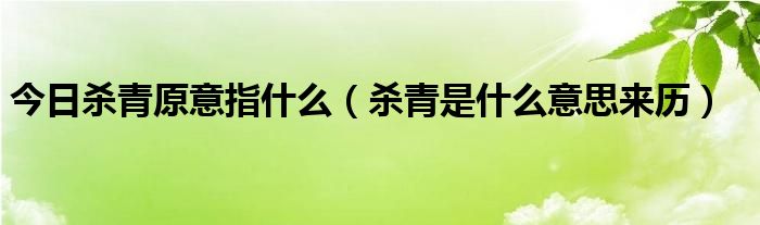 今日杀青原意指什么（杀青是什么意思来历）