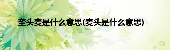 垄头麦是什么意思(麦头是什么意思)