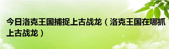 今日洛克王国捕捉上古战龙（洛克王国在哪抓上古战龙）