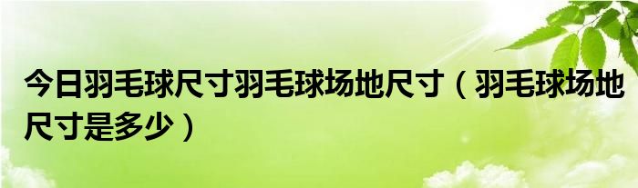 今日羽毛球尺寸羽毛球场地尺寸（羽毛球场地尺寸是多少）