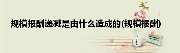 规模报酬递减是由什么造成的(规模报酬)