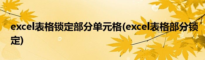 excel表格锁定部分单元格(excel表格部分锁定)