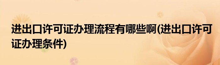 进出口许可证办理流程有哪些啊(进出口许可证办理条件)