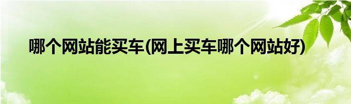 哪个网站能买车(网上买车哪个网站好)