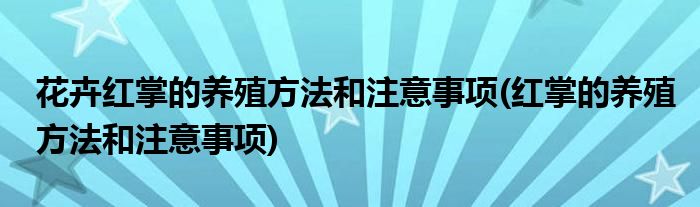 花卉红掌的养殖方法和注意事项(红掌的养殖方法和注意事项)
