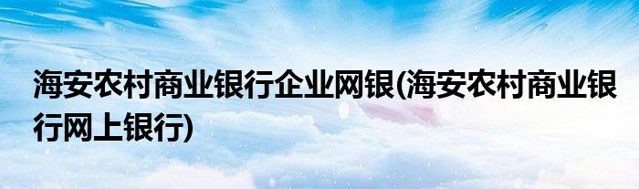 海安农村商业银行企业网银(海安农村商业银行网上银行)