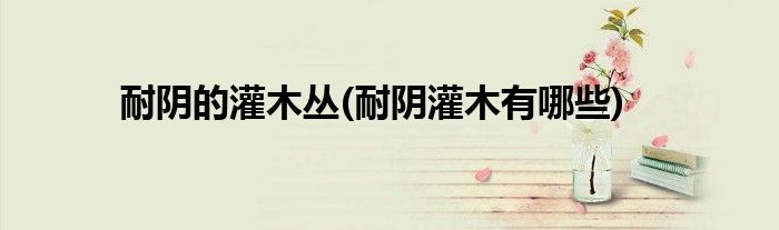 耐阴的灌木丛(耐阴灌木有哪些)