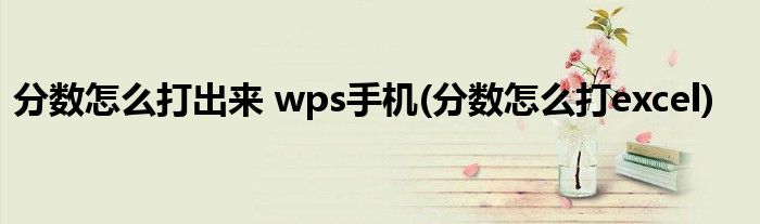 分数怎么打出来 wps手机(分数怎么打excel)