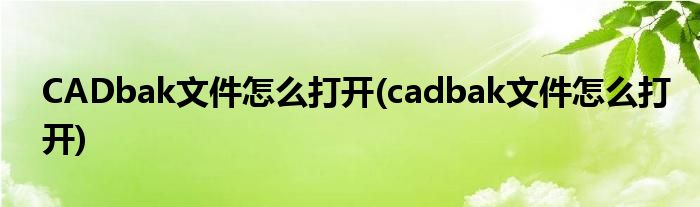 CADbak文件怎么打开(cadbak文件怎么打开)